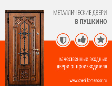 Металлические двери в Пушкино фото