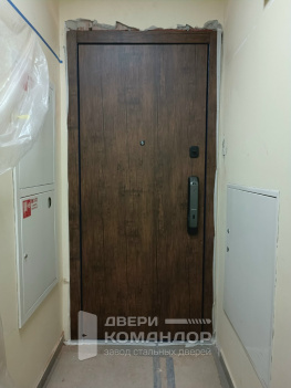 Входная дверь Stardis Trend  с биометрическим замком Kaadas