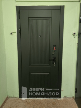 Стальная входная дверь Scandi АСД в квартиру