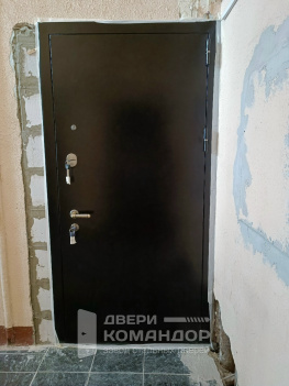 Входная дверь  металл / пвх-зеркало, с окраской металла в два цвета на заказ