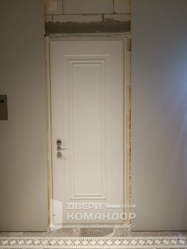 Входная дверь Stardis Expert  с двухсистемным замком Mottura