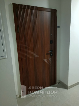 Входная дверь  коричневая крокодилов кожа / зеркало итальянский орех Экспресс-Гарант