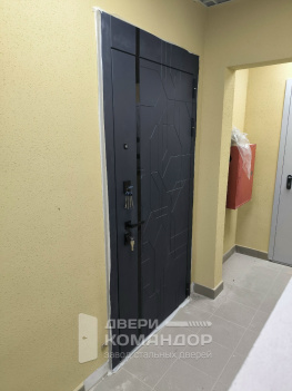 Металлическая входная дверь Forest с зеркалом АСД квартирная