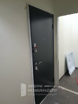 Входная стальная дверь Torex Берн