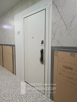 Входная дверь Stardis Trend  с биометрическим замком Samsung