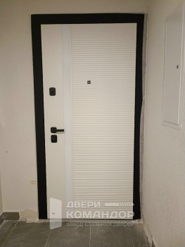 Входная дверь Stardis Expert  с расширением проёма