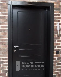 Черная входная дверь с откосами