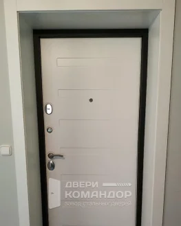 Дверь с белой панелью МДФ