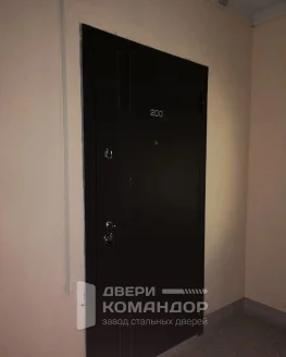 Входная дверь в квартиру с Порошком и МДФ с зеркалом