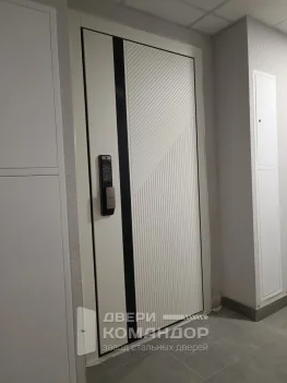 Входная дверь с биометрическим замком Samsung белый софт с чёрной вставкой
